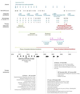 Frontiers Successful Use Of A Phage Endolysin For Treatment Of